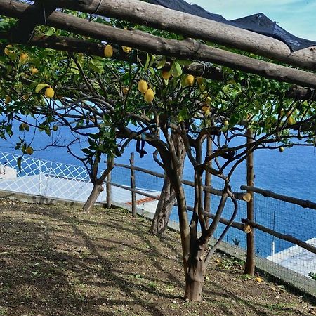 Chez Amelie Vila Amalfi Exterior foto
